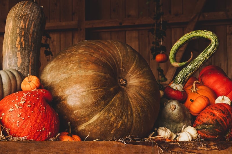 Harvest Rituals